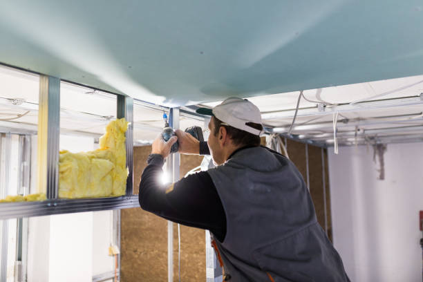 Professional Insulation Contractor in Pontiac, IL