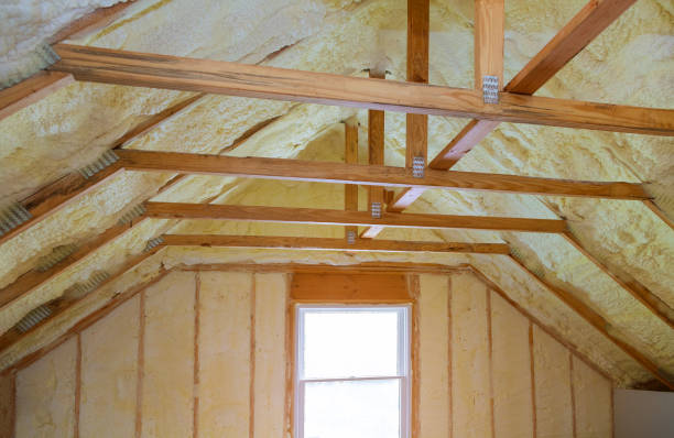 Best Geographic-Specific Insulation Services in Pontiac, IL