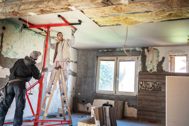 Best Commercial Insulation in Pontiac, IL