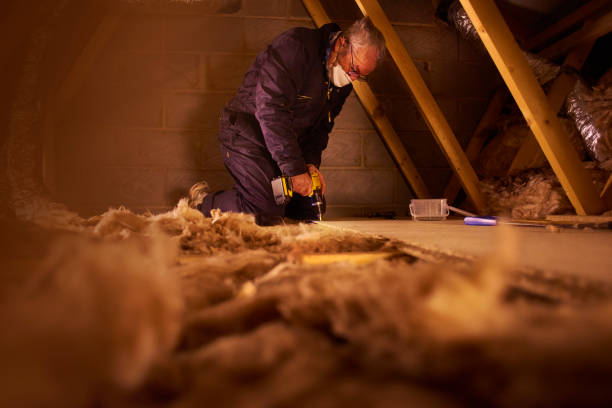 Best Insulation Maintenance and Repair in Pontiac, IL